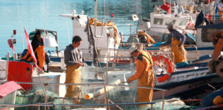 Una empenta al sector marítim