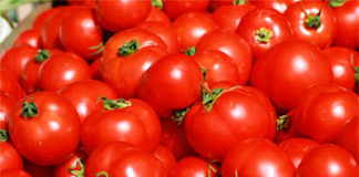 El tomàquet, producte gastronòmic de referència