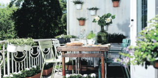 El jardí durant les vacances