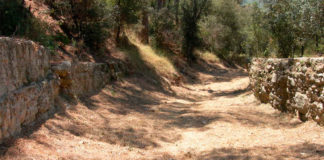 Ruta: Via romana de Parpers (Argentona)