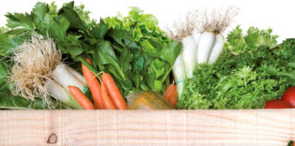 Jornades Gastronòmiques de productes d’horta