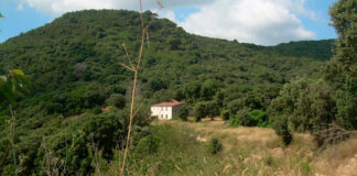 Ruta: El Corral del Forn (Arenys de Munt)