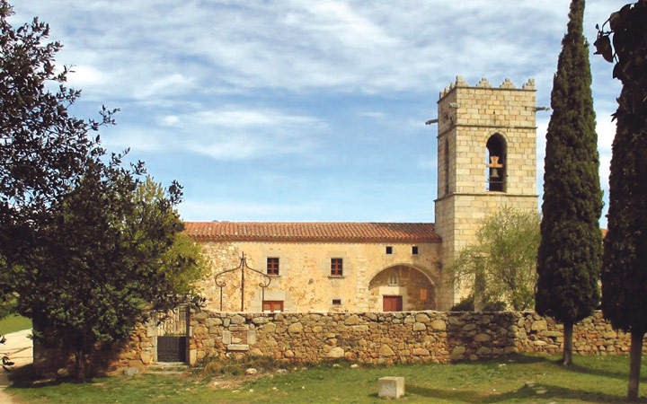 T316-caminant1