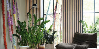 La zamioculca és la planta d’interior del mes de gener