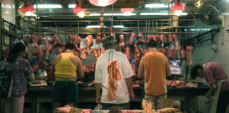 Com pot el veganisme frenar una pandèmia?