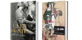 La narrativa de Sílvia Cantos i la poesia de Carme Rovira