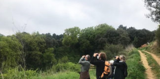 El Parc de la Serralada Litoral ofereix un programa d’activitats tot l’any