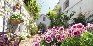 Viles Florides entrega les Flors d’Honor