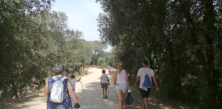 El Parc de la Serralada Litoral programa 20 passejades guiades i 8 tallers