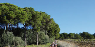 La Caminada dels Tres Pobles torna el 15 de maig