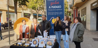 Els galets protagonitzen la campanya de Nadal del NEM