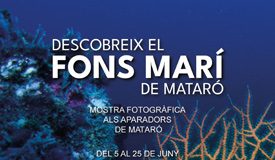 Descobrir El Fons Marí de Mataró