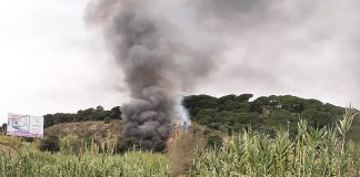 S’incendia un autocar a la C-32