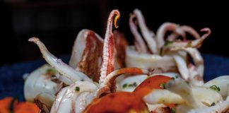 El Calamarenys celebra 31 edicions amb gastronomia i cultura marinera